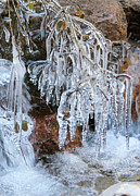 Ice fingers Photograph by Sunniye Buesing