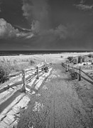 Ida's Path Photograph by Steven Nelson