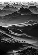 Illusion I Photograph by Sofie Conte