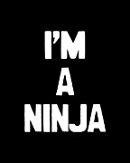 Im a Ninja Digital Art by Flippin Sweet Gear