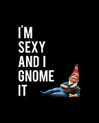 Im Sexy And I Gnome It Digital Art by Flippin Sweet Gear