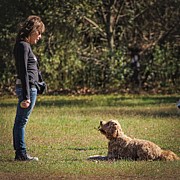 In Training1 Photograph by John Linnemeyer