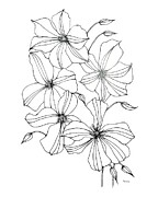 Ingenuity Drawing by Catherine Bede