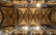Intricate Cathedral Ceiling Photograph by Shirley Mitchell