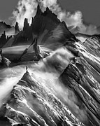 Invincible Photograph by Sofie Conte