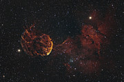 Jellyfish Nebula Photograph by Brian Weber
