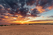 Jockey's Ridge Gold 1 Photograph by David Fountain