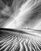 Journey II Digital Art by Sofie Conte