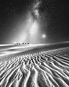 Journey Photograph by Sofie Conte