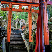 Journey through Tamahimesha Shrine Photograph by Steven Dos Remedios