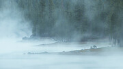 June-u-ary - Moody conditions on Antelope Lake in Plumas County Photograph by Mike Lee