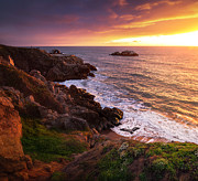 Jurassic Park Photograph by Louis Raphael