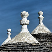 Just The Three Of Us - Square Photograph by Elvira Peretsman