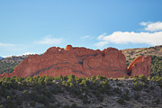 Kissing Camels at The Garden of the Gods Photograph by Abigail Diane Photography