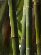 Knotty Bamboo Photograph by Dodie Ross