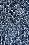 Knotty Pine Bark Photograph by Bruce Block