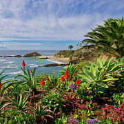 Laguna Beach Vista Photograph by Matthew DeGrushe