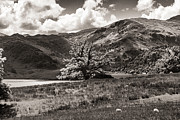 Aira Force and Ullswater Photograph by Francisco Ruiz Navas