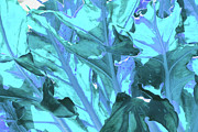 Leaf Detail 2 - Aqua Photograph by Ron Berezuk