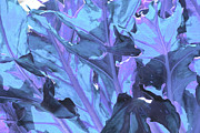 Leaf Detail 2 - Fantasia Photograph by Ron Berezuk