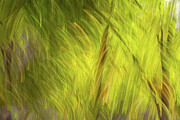 Leafy Abstract #1 Photograph by Linda Ryma