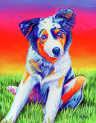 Lexi the Blue Merle Australian Shepherd Painting by Rebecca Wang