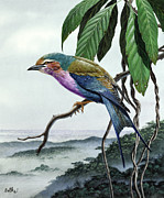 Lilac-breasted Roller Painting by Don Balke
