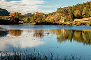 Little Long Pond 1 Photograph by Craig A Walker