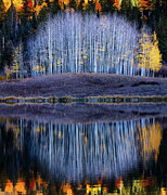 Live Nudes Photograph by Kevin Schwalbe