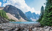 Logs Piled Up in Moraine Lake, Banff, Alberta Photograph by John Twynam