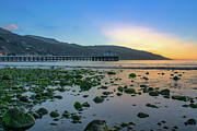 Low Tide at Malibu Pier Photograph by Matthew DeGrushe