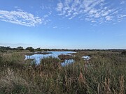 Loxahatchee wildlife refuge Photograph by David McKinney