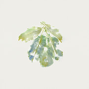 Magnolia Leaf, Monoprint Essence of Colors Painting by Elizabeth Reich