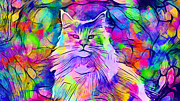 Maine Coon cat looking at camera - colorful lines digital painting Digital Art by Nicko Prints