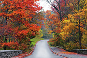 Majestic Autumn Road Photograph by Jessica Jenney