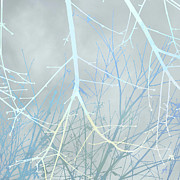 Maple Blues Digital Art by Gina Harrison