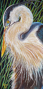 Marsh Member Painting by Mark Ray