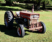 Massey Ferguson 135 Tractor Photograph by Flees Photos