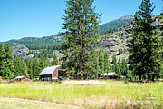 Mazama Ranch and Ponderosa Pines Photograph by Tom Cochran