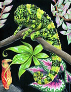 Meller's Chameleon Painting by Rebecca Wang