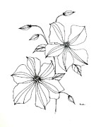 Mental Beauty Drawing by Catherine Bede