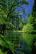 Merced Stillness in Yosemite National Park Photograph by Bonnie Colgan