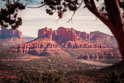 Mesa de Rojo Landscape, Sedona, Arizona Photograph by Shannon Williams