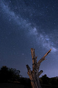 Milky Way Over the Desert 2 Photograph by Lisa Chorny