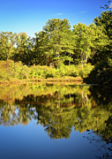Mirror Pond Photograph by Steven Nelson
