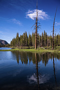 Mirrored Reflections Photograph by Abigail Diane Photography