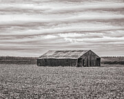 Missouri - Farming - Monochrome Barn Photograph by Robert Niemeier