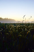 Misty Morning Serenity Photograph by Travel Essayist