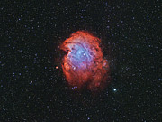 Monkey Head Nebula Photograph by Brian Weber