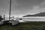 Moody Mornings Photograph by Shannon Williams